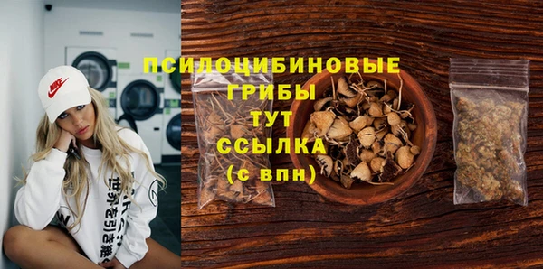 ПСИЛОЦИБИНОВЫЕ ГРИБЫ Алзамай