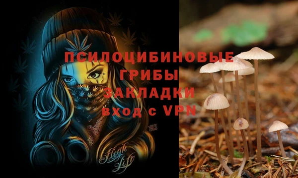 дурь Алексин