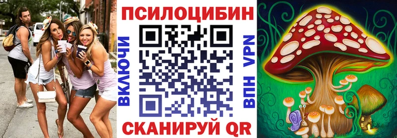 Псилоцибиновые грибы мицелий  Венёв 